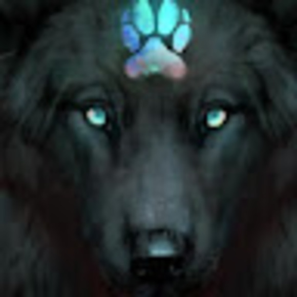 Meet your Posher, Ice - Picture 1 of 1